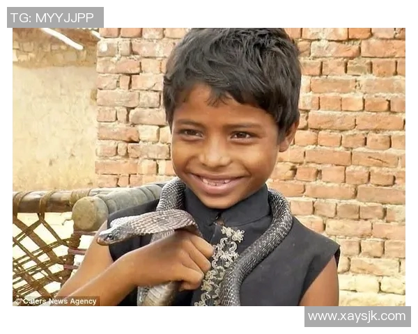 蛇名球星闪耀绿茵场探寻那些与蛇有关的足球传奇人物